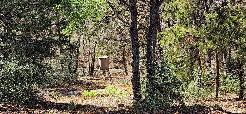 14612 County Road 1114, Athens, TX 75751 View of wooded area