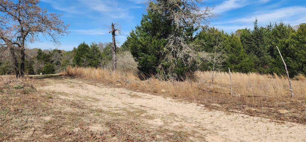 14612 County Road 1114, Athens, TX 75751 View of nature