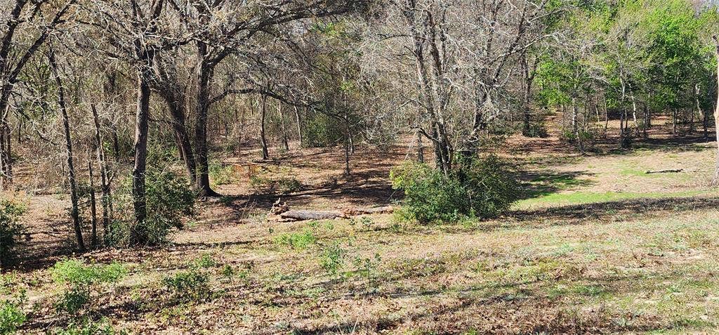 14612 County Road 1114, Athens, TX 75751 View of local wilderness