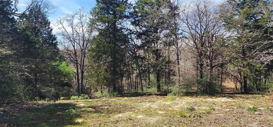 Property photo for 14612 County Road 1114, Athens, TX