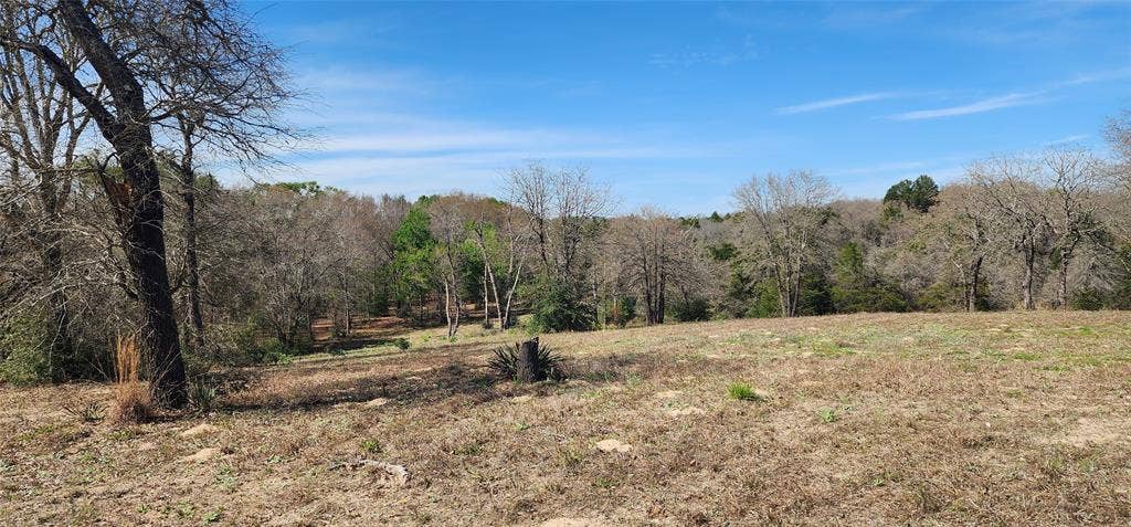 14612 County Road 1114, Athens, TX 75751 View of woods with a view of countryside