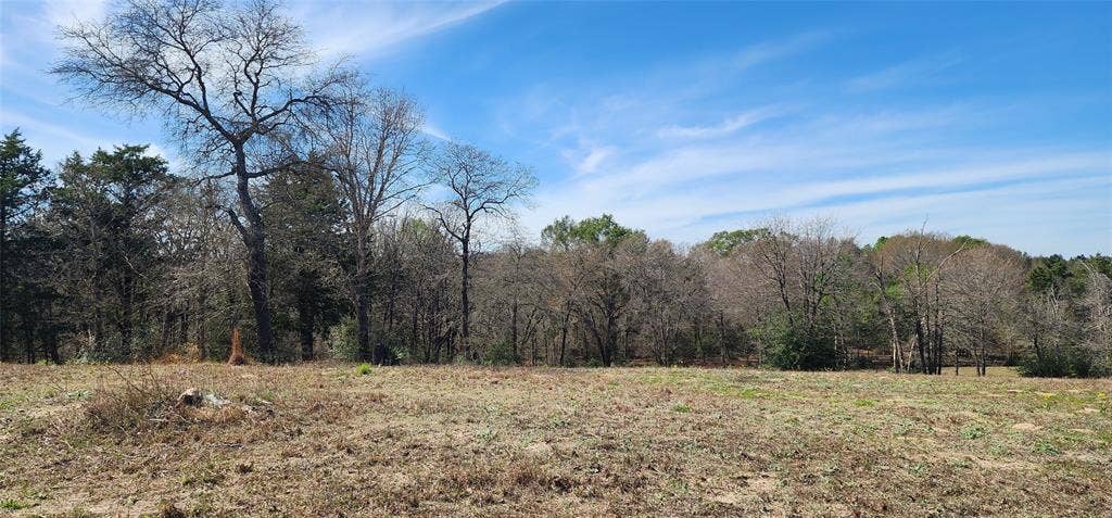 14612 County Road 1114, Athens, TX 75751 View of nature