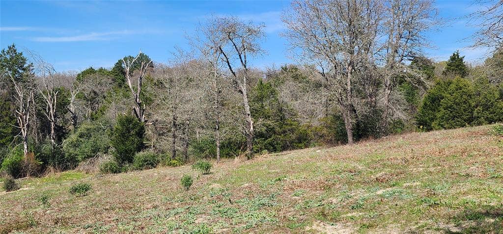 14612 County Road 1114, Athens, TX 75751 View of undeveloped land