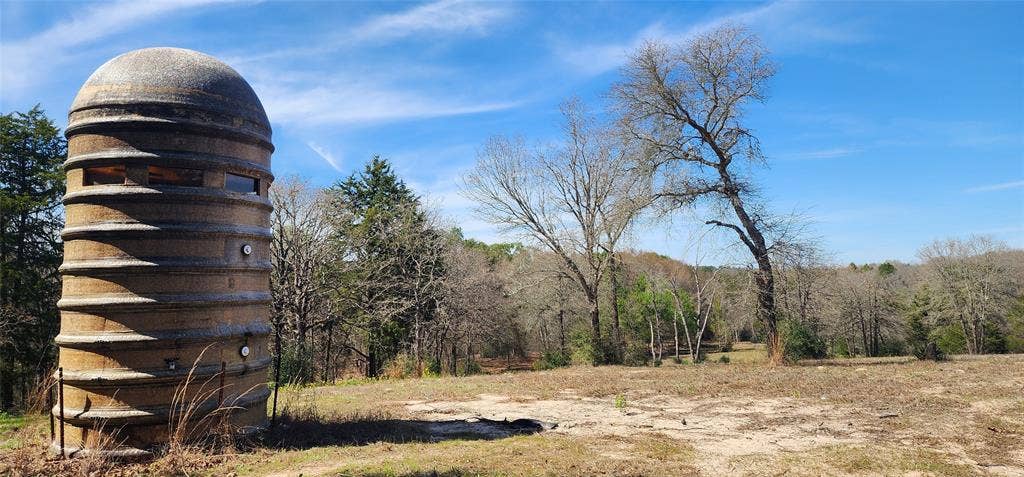 14612 County Road 1114, Athens, TX 75751 View of yard featuring a forest view