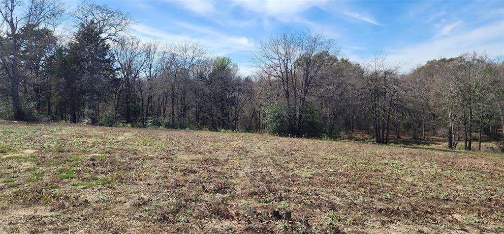 14612 County Road 1114, Athens, TX 75751 View of local wilderness