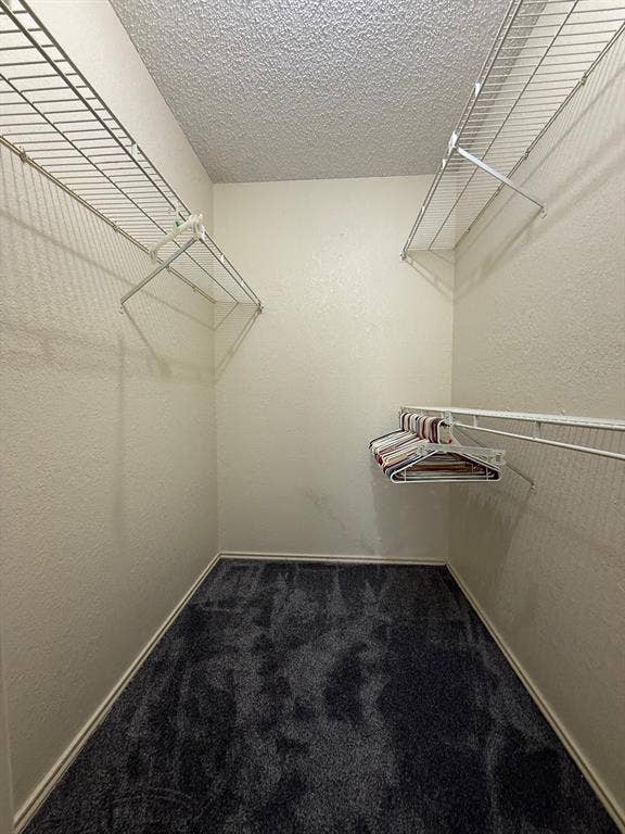 1723 Crest Grove Drive, #120B, Arlington, TX 76012 Walk in closet with dark carpet