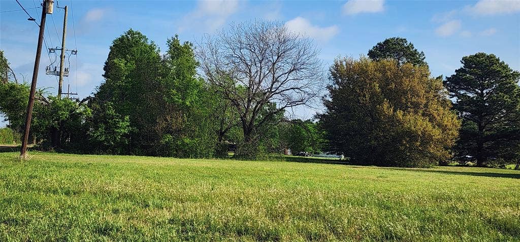 TBD Buddy Ruth Road, Trinidad, TX 75163 View of grassy yard