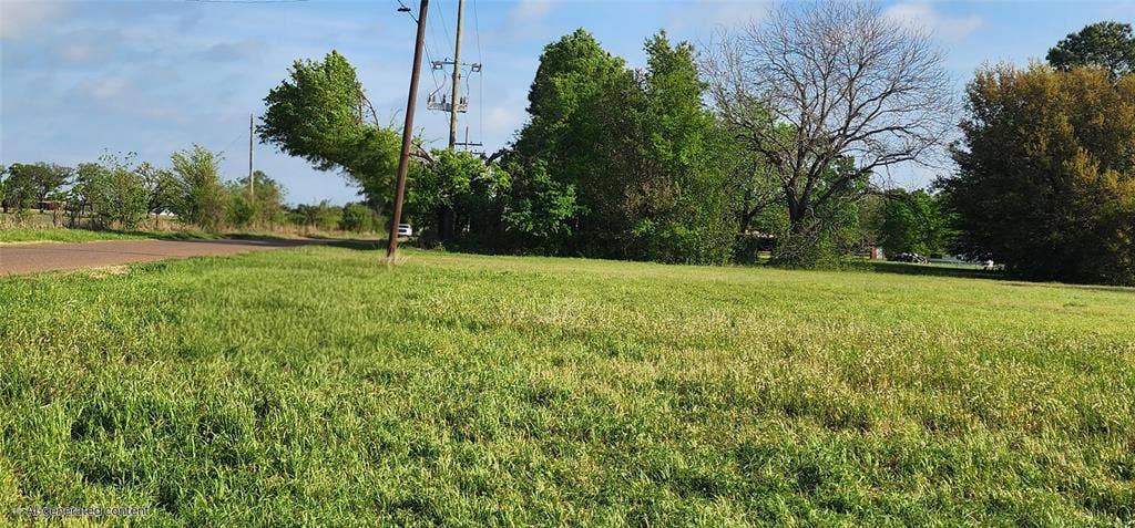 TBD Buddy Ruth Road, Trinidad, TX 75163 View of grassy yard