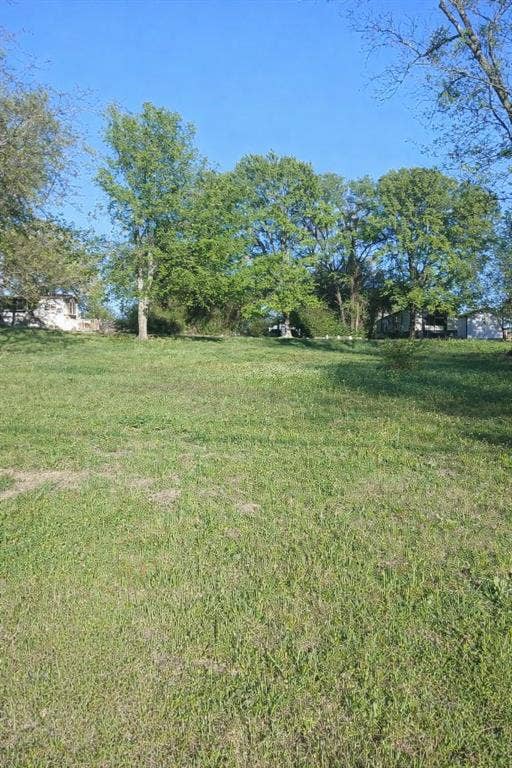 247 Wildwind Street, Gun Barrel City, TX 75156 247 Wildwind Street, Gun Barrel City, TX 75156