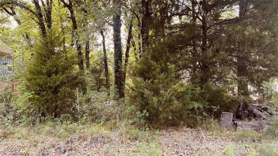 Property photo for 141 Elk Cove Drive, Mabank, TX