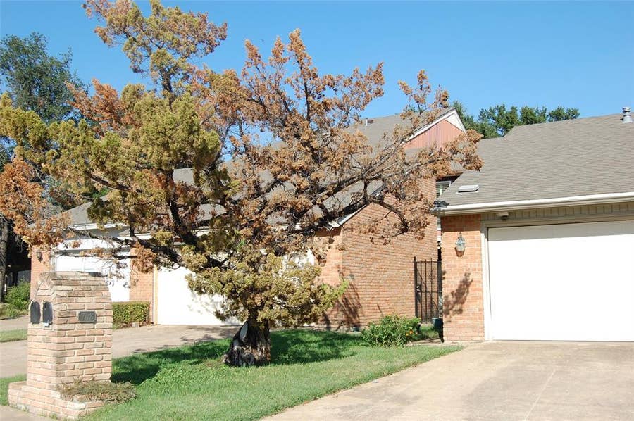 Property photo for 708 Carriage Way, Duncanville, TX