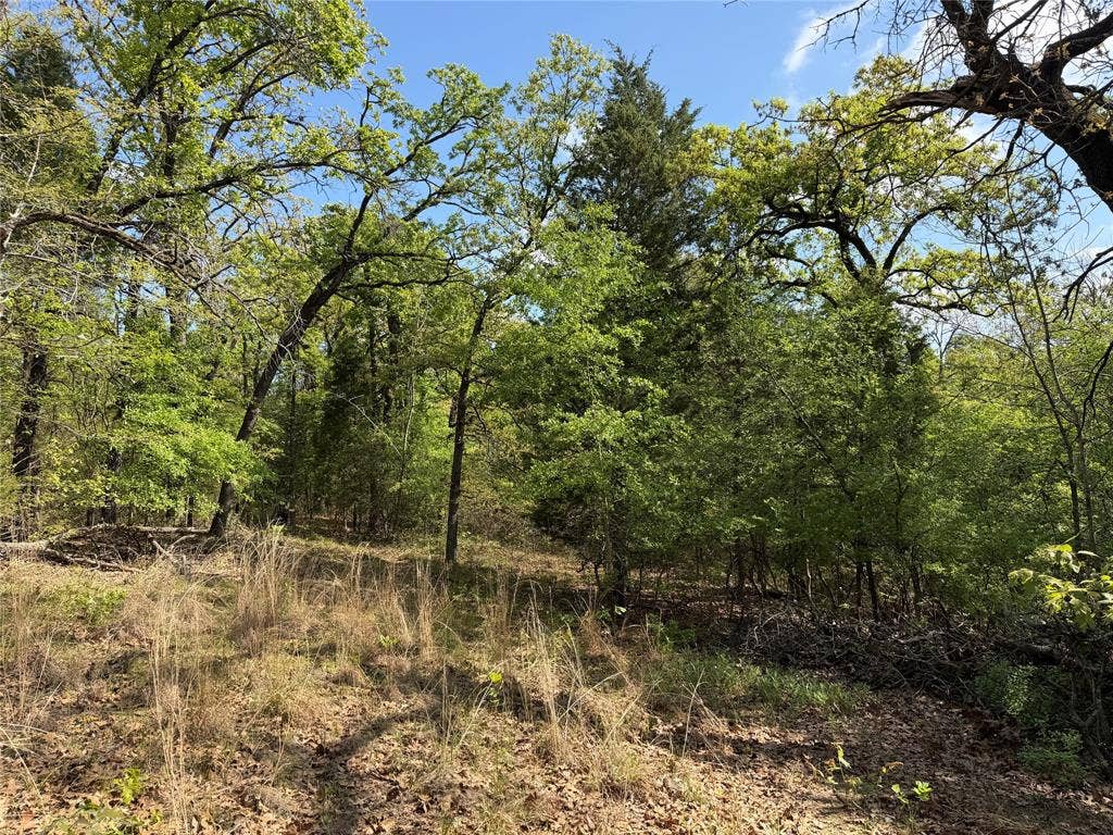 6075 County Road 1411, Malakoff, TX 75148 6075 County Road 1411, Malakoff, TX 75148