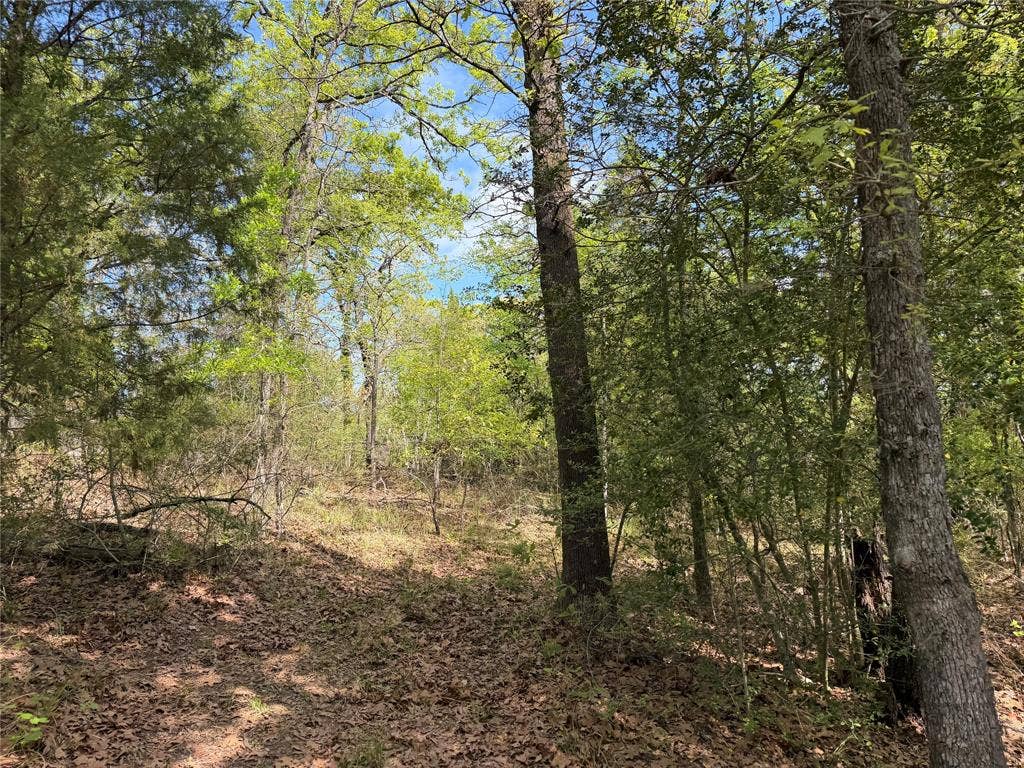 6075 County Road 1411, Malakoff, TX 75148 6075 County Road 1411, Malakoff, TX 75148
