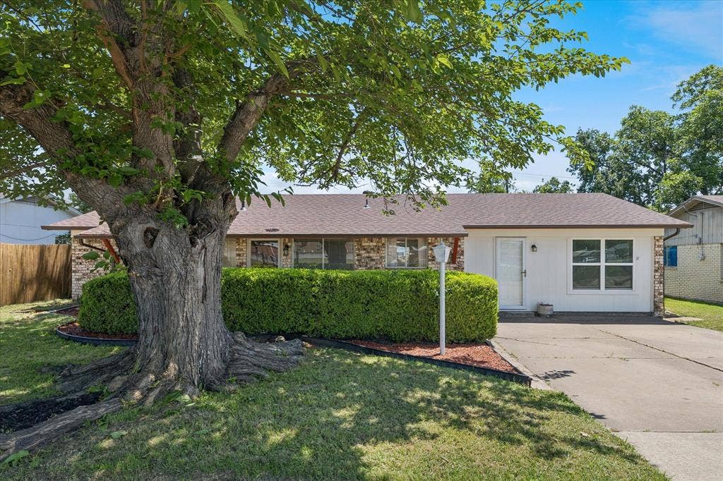5820 Shipp Drive, Watauga, TX 76148 Mature tree anchoring the front yard