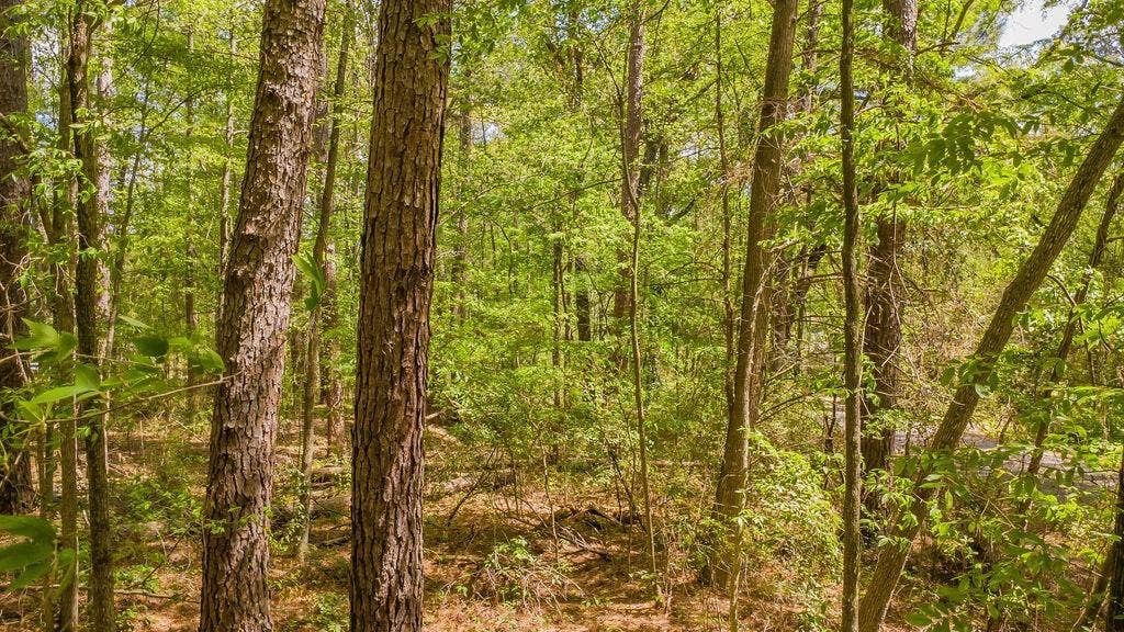 1723 Pineview Lane, Hideaway, TX 75771 1723 Pineview Lane, Hideaway, TX 75771