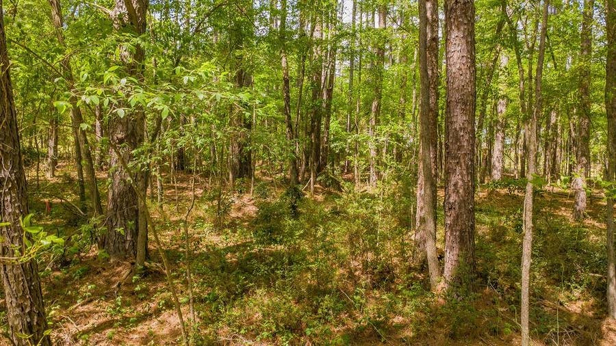 Property photo for 1723 Pineview Lane, Hideaway, TX