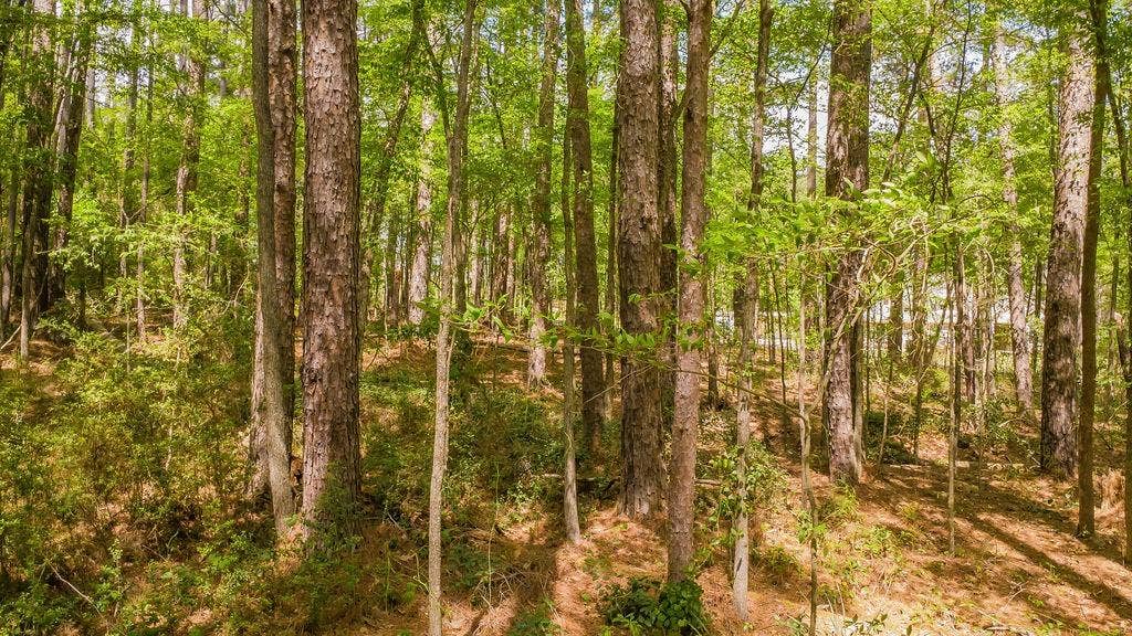1723 Pineview Lane, Hideaway, TX 75771 1723 Pineview Lane, Hideaway, TX 75771