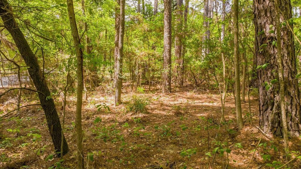 1723 Pineview Lane, Hideaway, TX 75771 1723 Pineview Lane, Hideaway, TX 75771