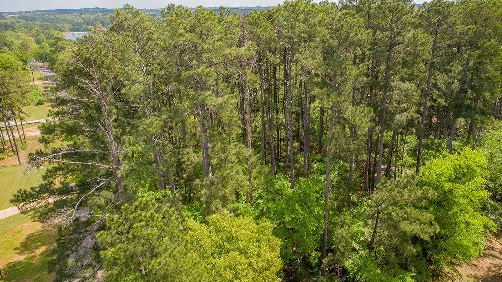 1723 Pineview Lane, Hideaway, TX 75771 1723 Pineview Lane, Hideaway, TX 75771