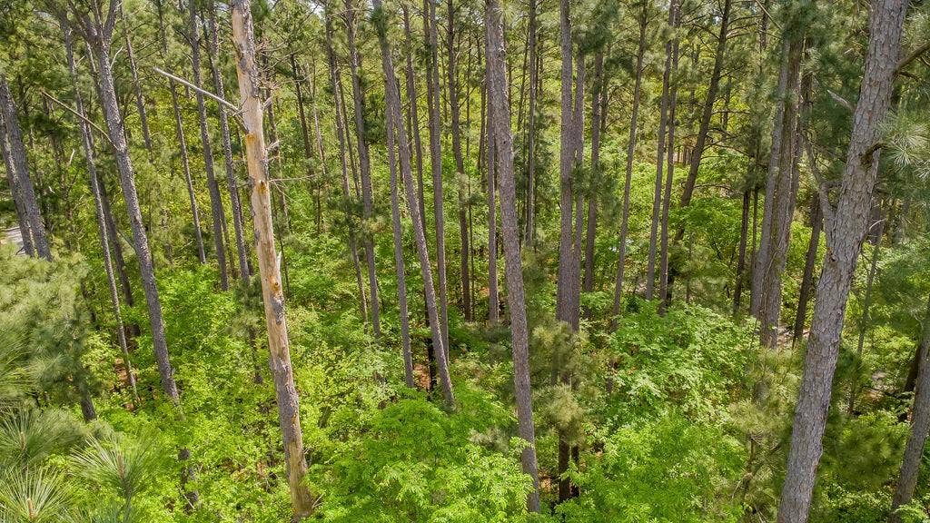 1723 Pineview Lane, Hideaway, TX 75771 1723 Pineview Lane, Hideaway, TX 75771