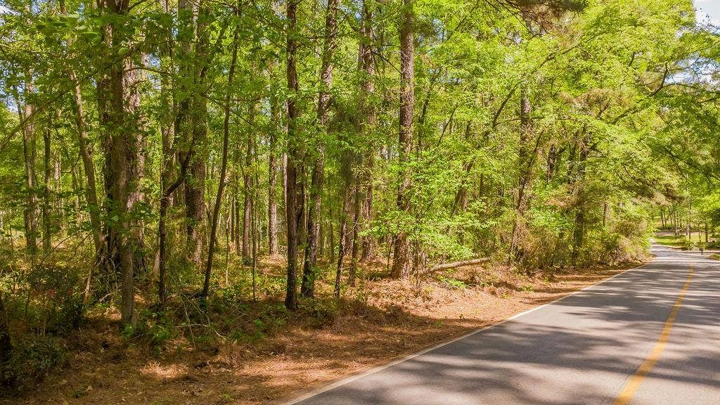 1723 Pineview Lane, Hideaway, TX 75771 1723 Pineview Lane, Hideaway, TX 75771