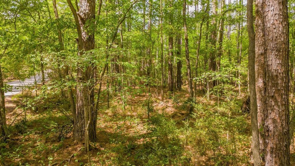 1723 Pineview Lane, Hideaway, TX 75771 1723 Pineview Lane, Hideaway, TX 75771