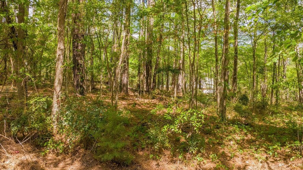 1723 Pineview Lane, Hideaway, TX 75771 1723 Pineview Lane, Hideaway, TX 75771