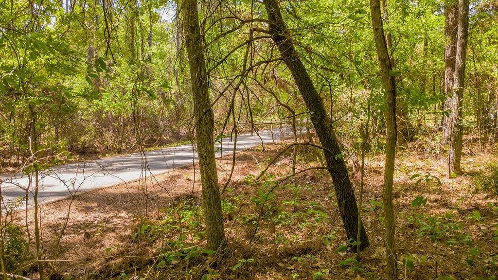 1723 Pineview Lane, Hideaway, TX 75771 1723 Pineview Lane, Hideaway, TX 75771