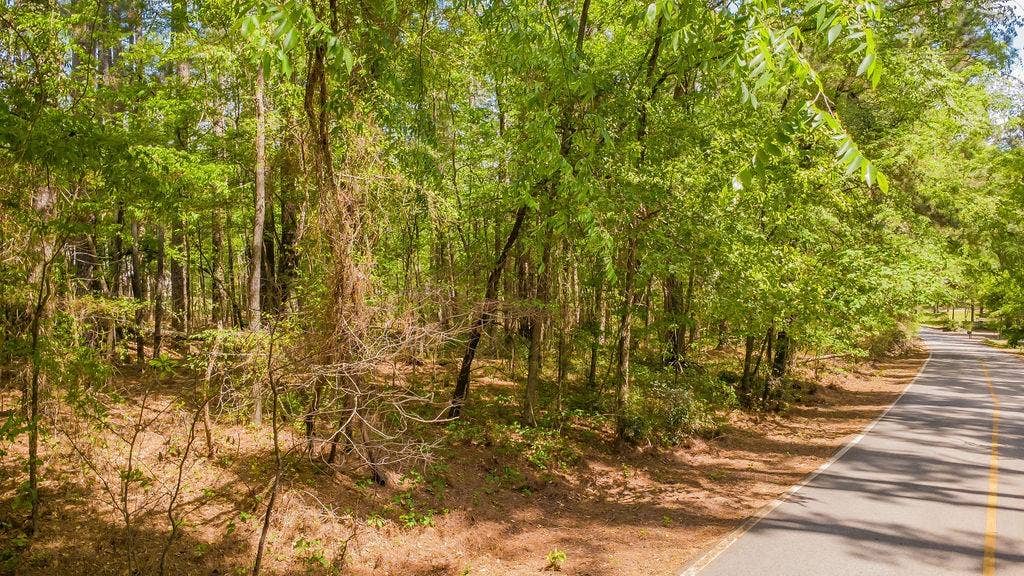 1723 Pineview Lane, Hideaway, TX 75771 1723 Pineview Lane, Hideaway, TX 75771