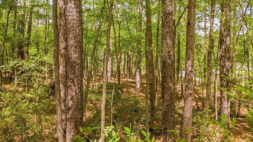 1723 Pineview Lane, Hideaway, TX 75771 1723 Pineview Lane, Hideaway, TX 75771