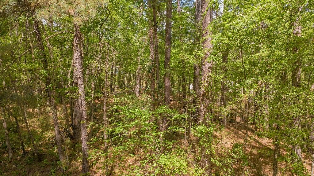 1723 Pineview Lane, Hideaway, TX 75771 1723 Pineview Lane, Hideaway, TX 75771