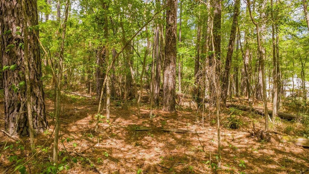 1723 Pineview Lane, Hideaway, TX 75771 1723 Pineview Lane, Hideaway, TX 75771