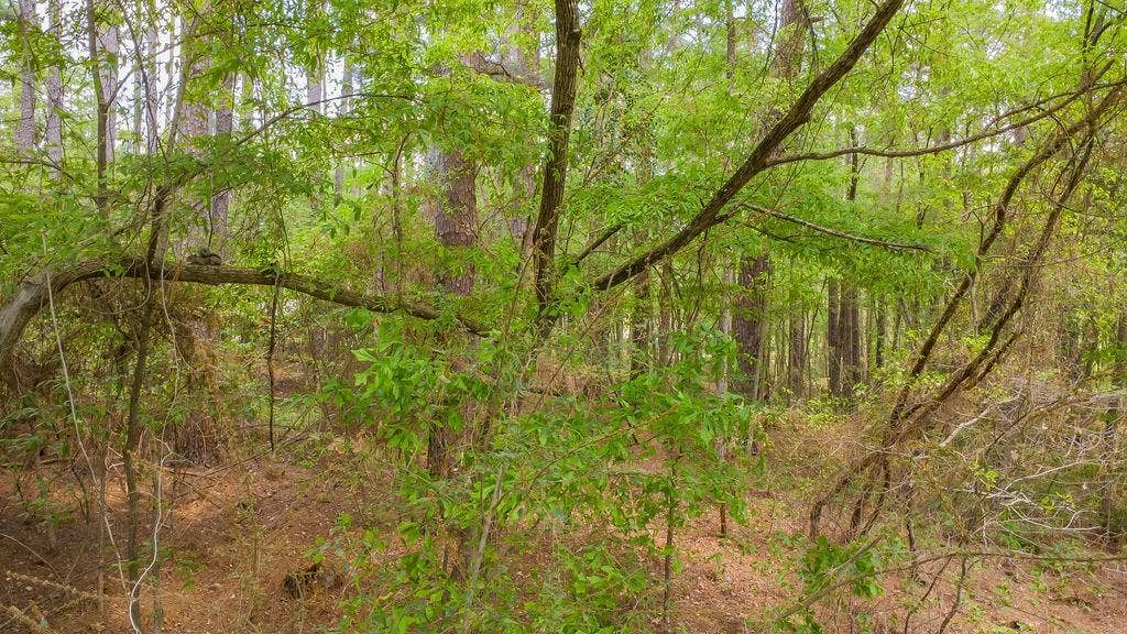1723 Pineview Lane, Hideaway, TX 75771 1723 Pineview Lane, Hideaway, TX 75771