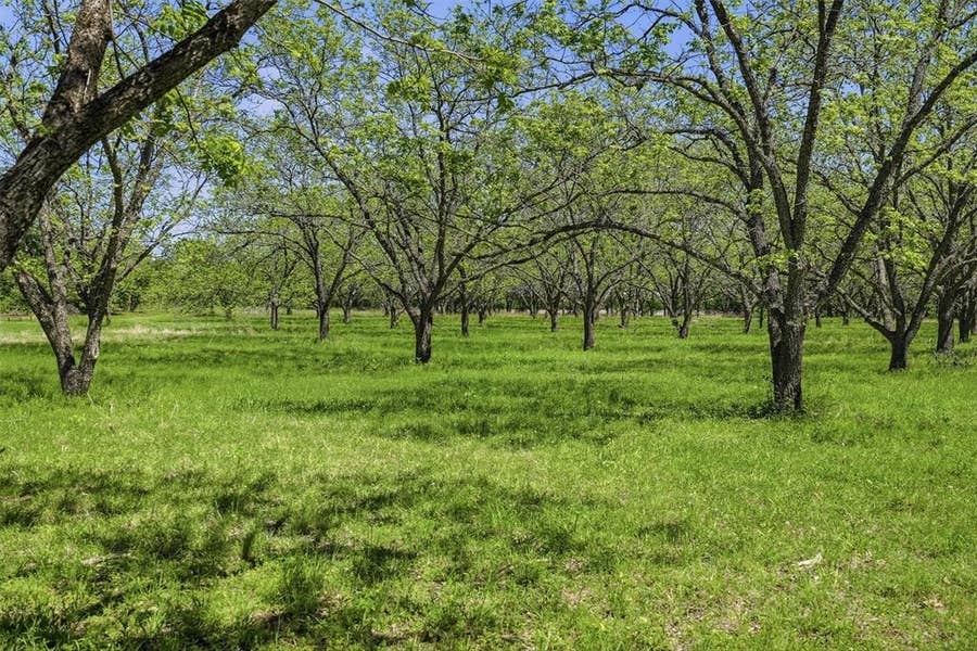 Property photo for 12011 Paradise Boulevard, Bluff Dale, TX