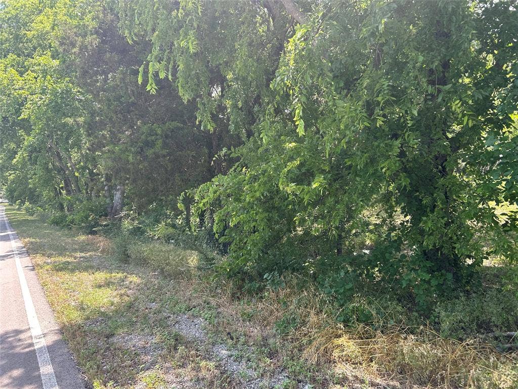 4401 Dexham Road, Rowlett, TX 75088 View of nature