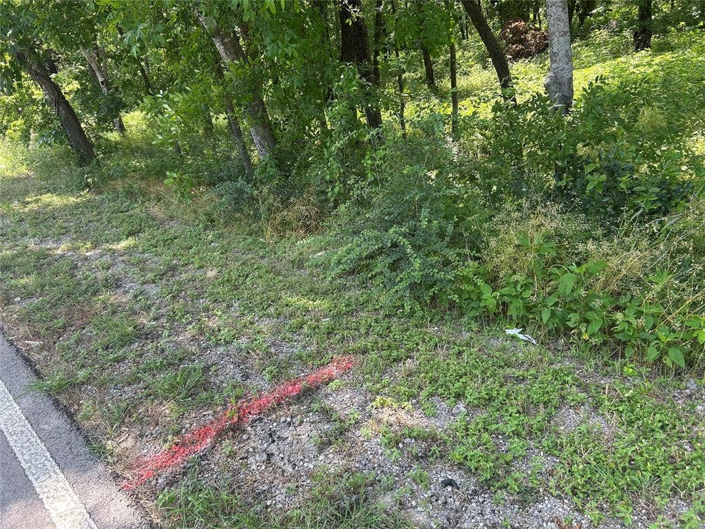 4401 Dexham Road, Rowlett, TX 75088 View of undeveloped land