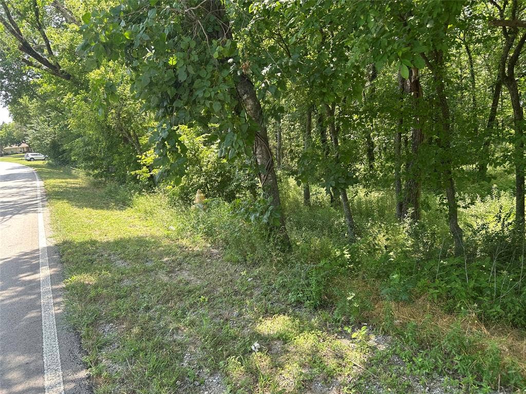 4401 Dexham Road, Rowlett, TX 75088 View of asphalt street