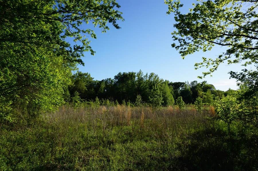 Property photo for 6902 Stella Street, Murchison, TX