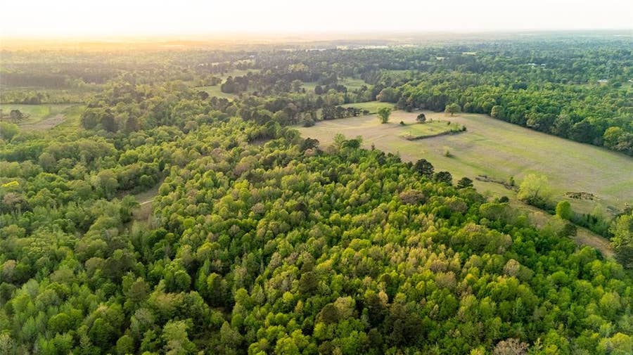 Property photo for 000 FM 838, Overton, TX