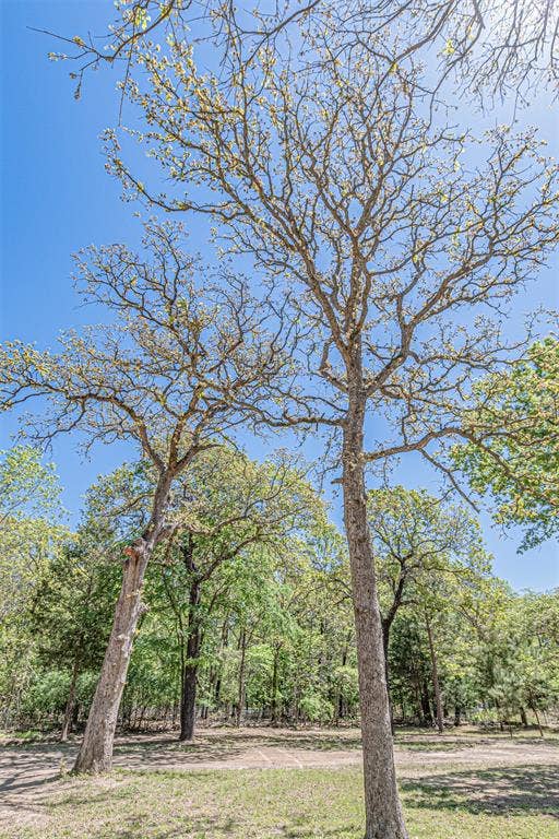 6481 County Road 4522, Athens, TX 75752
