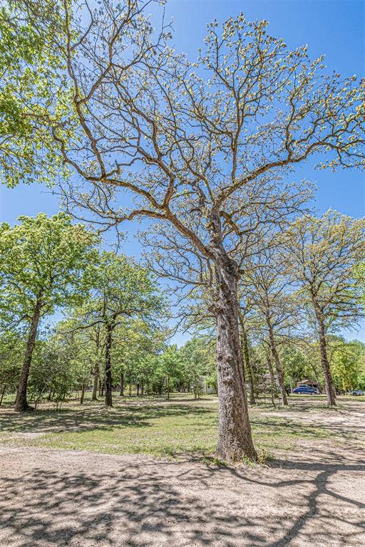 6481 County Road 4522, Athens, TX 75752 6481 County Road 4522, Athens, TX 75752
