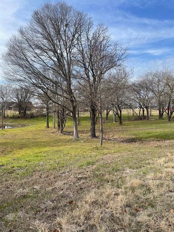 5455 Saddle Ridge Court, Athens, TX 75752 View of yard with a rural view