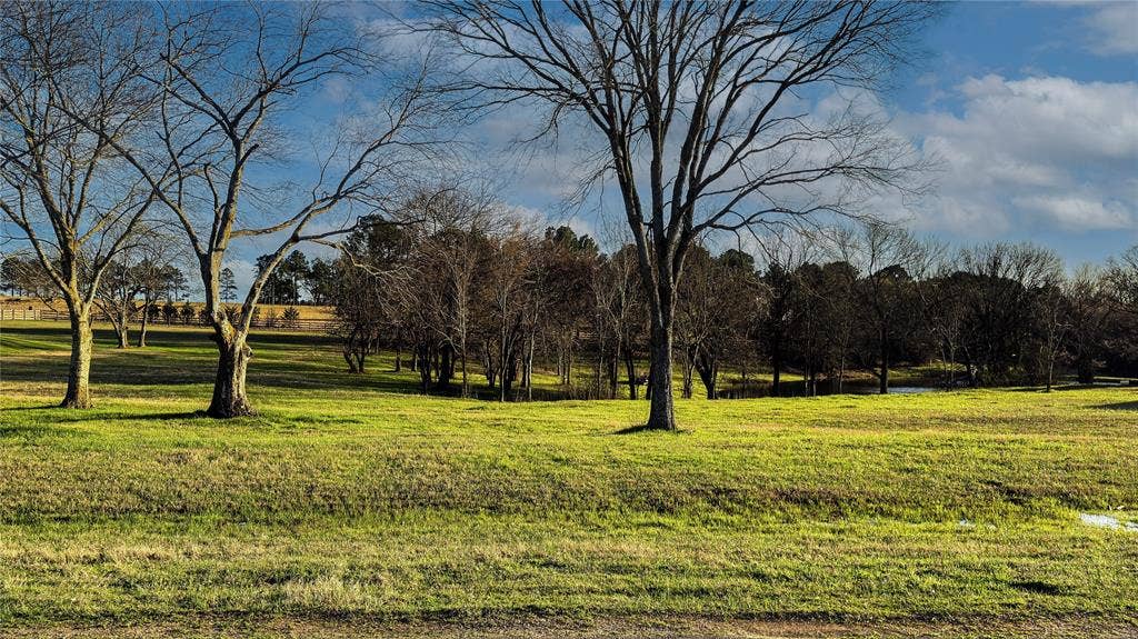 5455 Saddle Ridge Court, Athens, TX 75752 View of yard