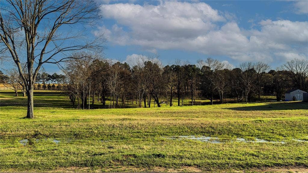 5455 Saddle Ridge Court, Athens, TX 75752 View of local wilderness