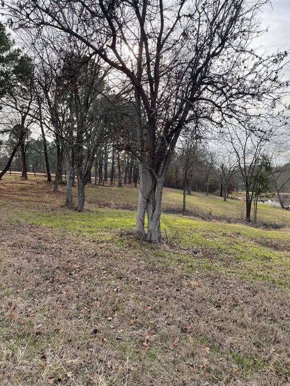 5455 Saddle Ridge Court, Athens, TX 75752 View of yard