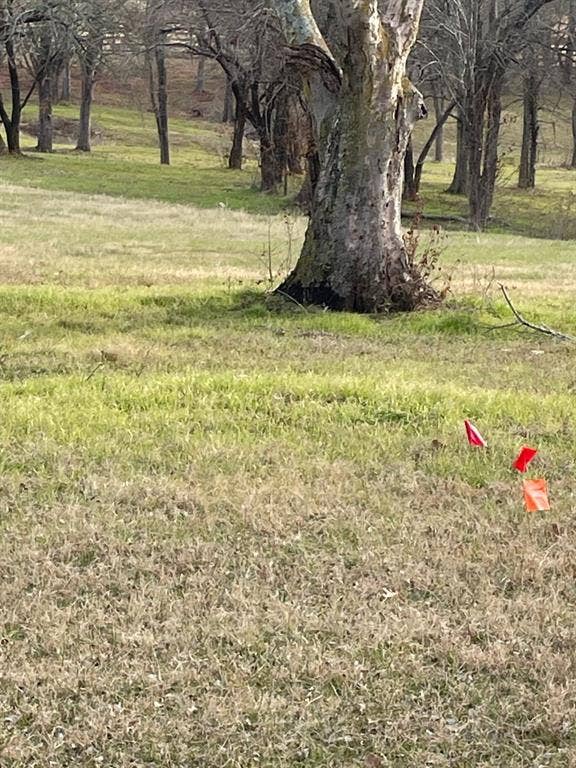 5455 Saddle Ridge Court, Athens, TX 75752 View of yard featuring a rural view