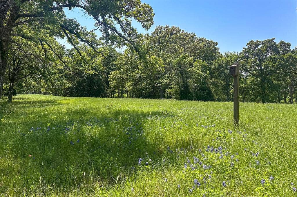 513 Winding Shore Drive, Tool, TX 75143