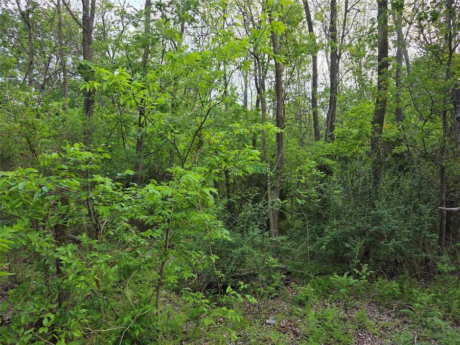 Property photo for 1202 Rosemary Street, Greenville, TX
