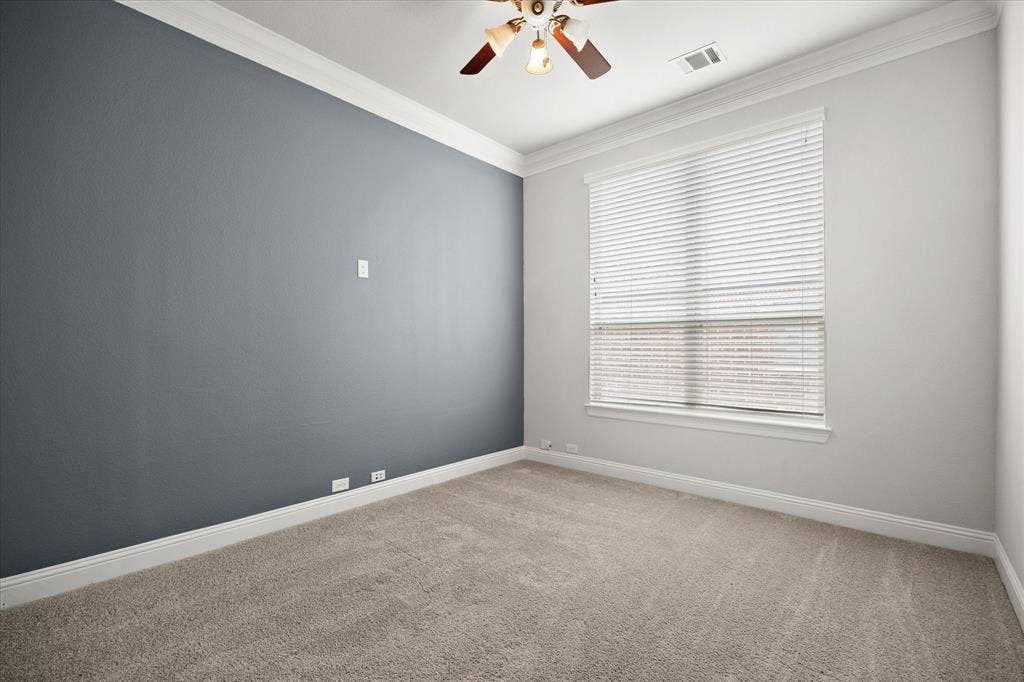Carpeted room with a feature wall in a muted blue-gray tone