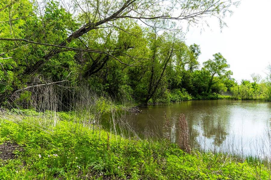 Property photo for 1401 E Campus Road, Palmer, TX